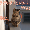 100208-【猫アニメ】チビらぶチェック…NGにゃ。
