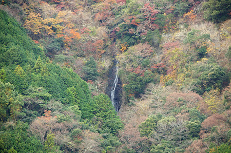 朝日の滝　2011.12.12-1