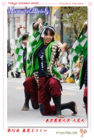 東京農業大学YOSAKOIソーラン同好会 大黒天 - 第10回 東京よさこい