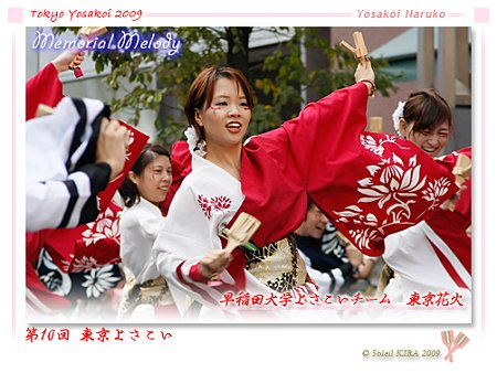 早稲田大学よさこいチーム 東京花火 - 第10回 東京よさこい