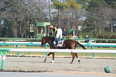 これからレース
