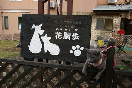 DSC03385