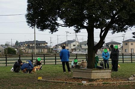 DSC03963
