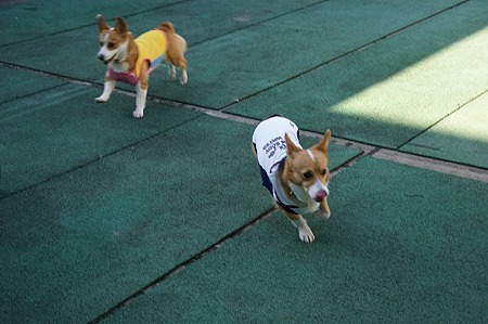 DSC04201