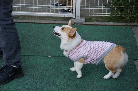 DSC04217