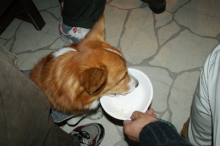 DSC04474