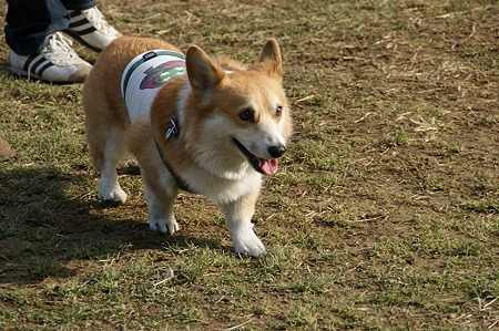 DSC04683