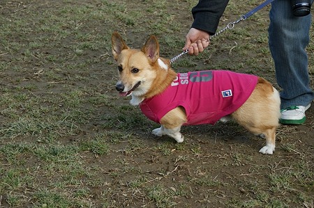 DSC04686