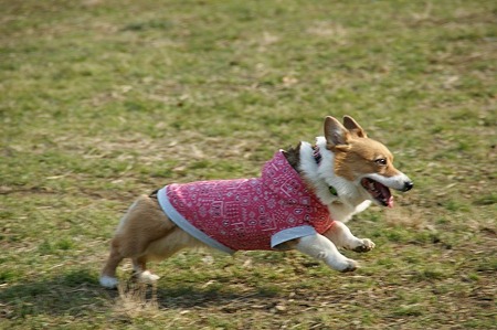 DSC04719