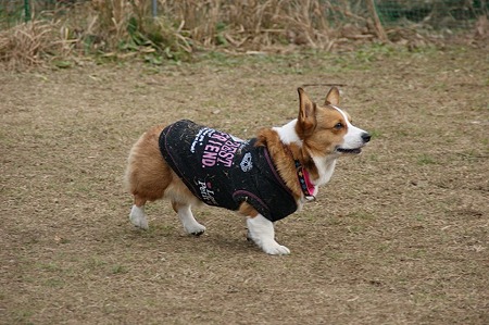 DSC04823