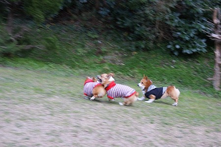 DSC05001