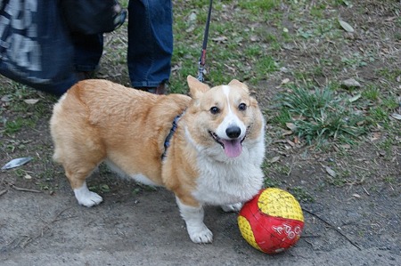 DSC05031