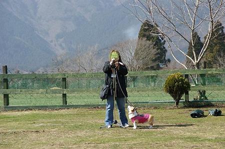 DSC07077