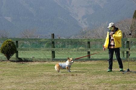 DSC07080