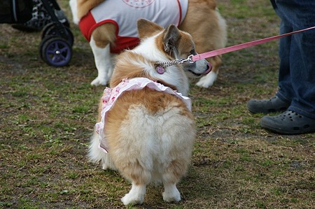 DSC08190
