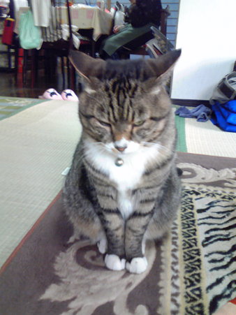 200911030715000
