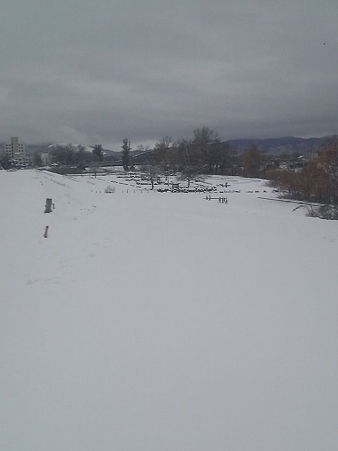 旭川も雪一面 20091101