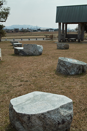 Yayoi_Park03042012dp2-03