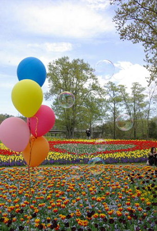 IMGP0094_0421