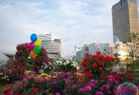 IMGP3537_0122