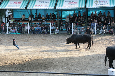 まだまだ修行が必要なようで