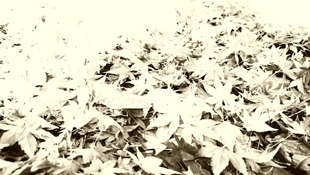 PC150319