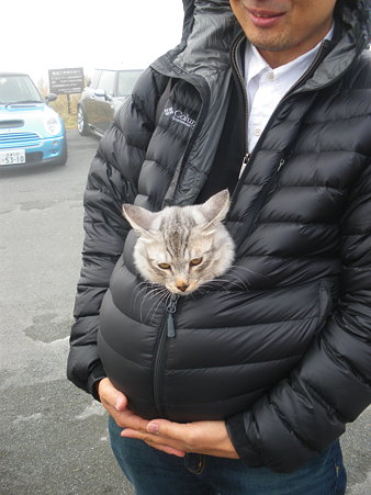 湯たんぽハルちゃん
