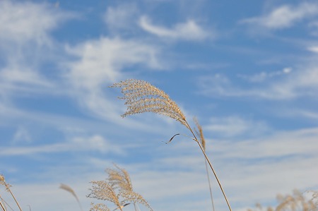 DSC_5512d9LL