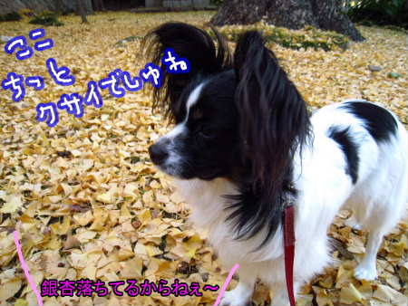 PIC00014
