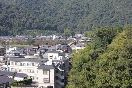 神社から見た錦帯橋