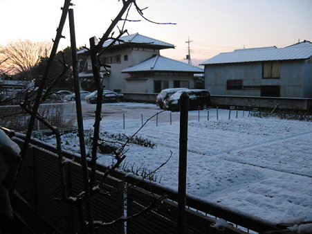 yuki2
