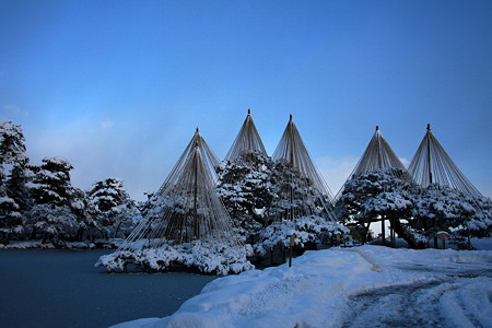 唐崎の松　　兼六園の冬景色