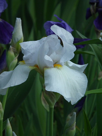 DSCF0366