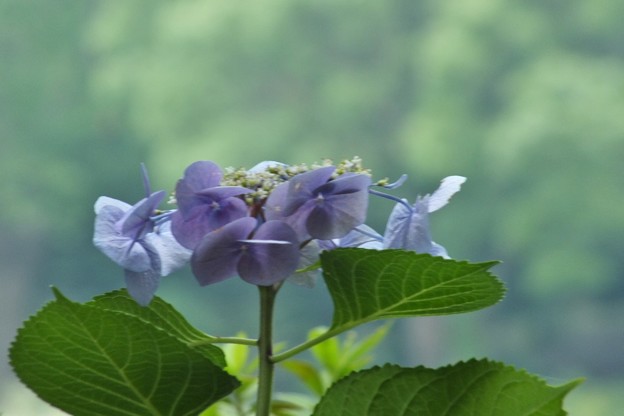 DSCF0222
