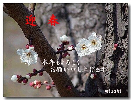 年賀16