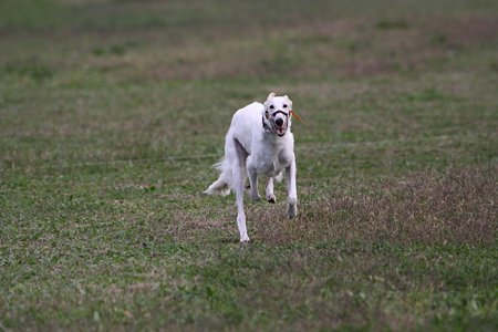 IMG_8509