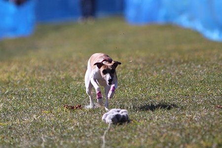 IMG_9612