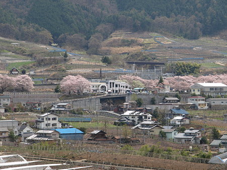 ぶどうの丘から駅を見て(勝沼ぶどう郷駅付近)2