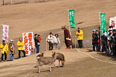 鹿せんべい飛ばし大会