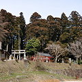 Photos: 桜実神社遠景