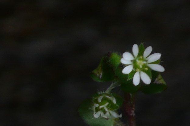 P1160555