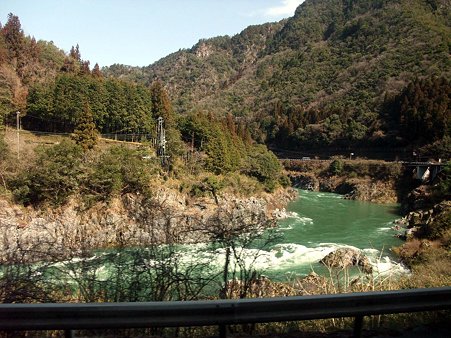 今日は綺麗な川の色
