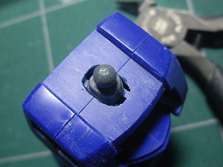 IMGP6525