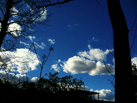 今日の青空