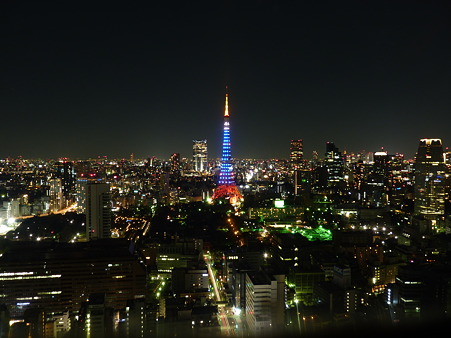 世界貿易センタービルからの夜景