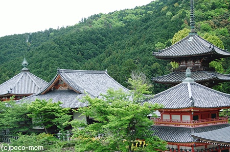 2012年05月04日_DSC_2384壷阪寺