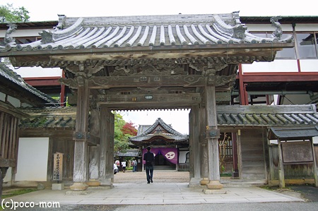 竹林院 2012年05月04日_DSC_2236