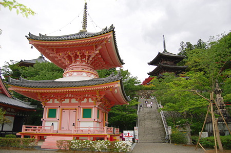 壷阪寺2012年05月04日_DSC_2349