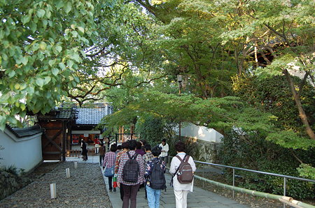 青蓮院