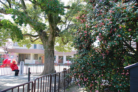 2010年04月04日伝香寺学園